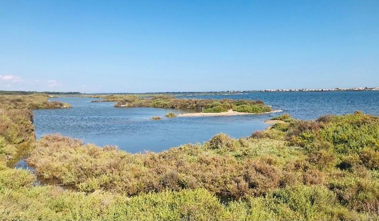 Le Nautica Plage T2 en bord de mer Frontignan Eksteriør bilde